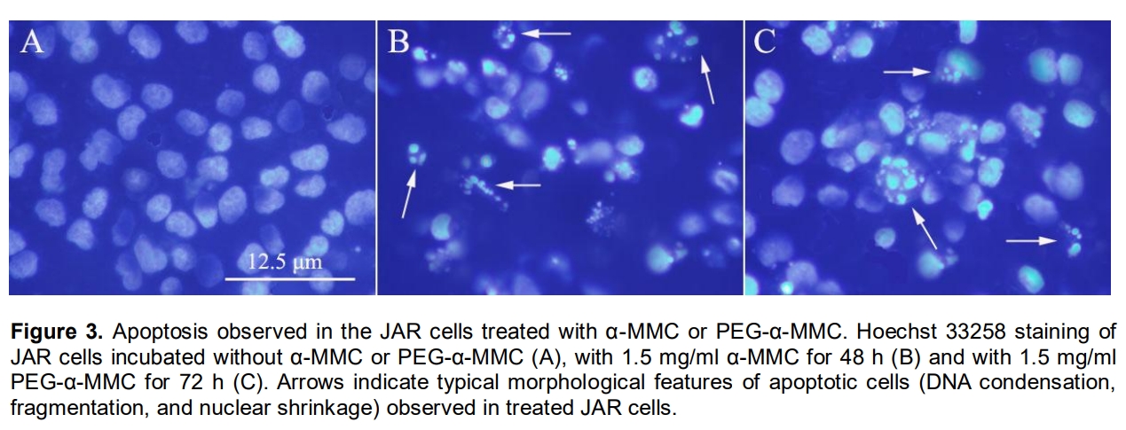 hoechst 33258文献截图.png